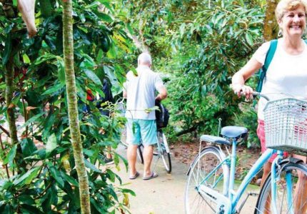 Đạp xe dạo chơi làng nghề nổi tiếng, vườn trái cây đặc sản, các căn nhà truyền thống